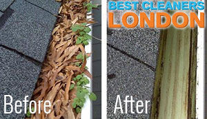 Before and After Gutter Cleaning