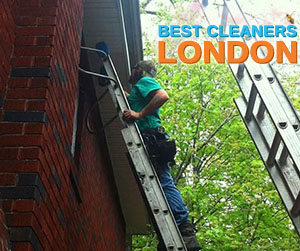 Gutter Cleaner