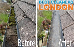 Gutter Cleaning Services