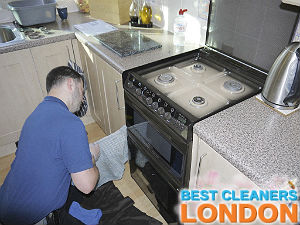 professional oven cleaning